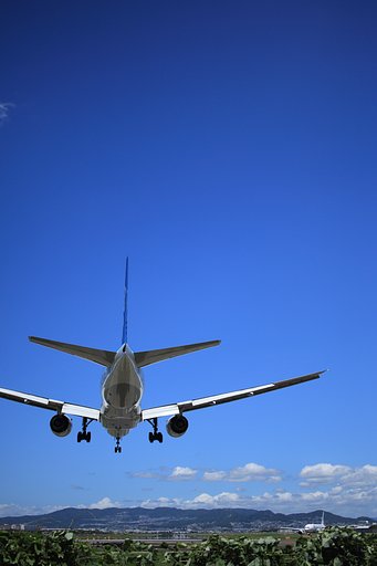 「鳥は逆風に向かって飛び立つ」とは限らない