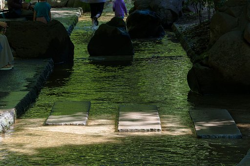 緑の水辺