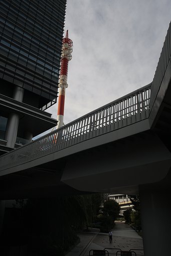 都心