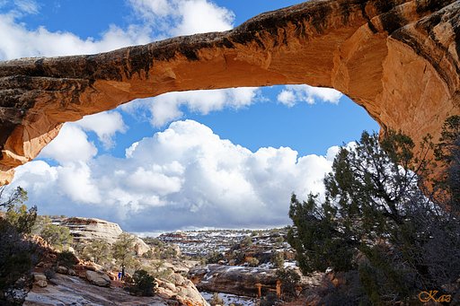 Natural Bridges National Monument