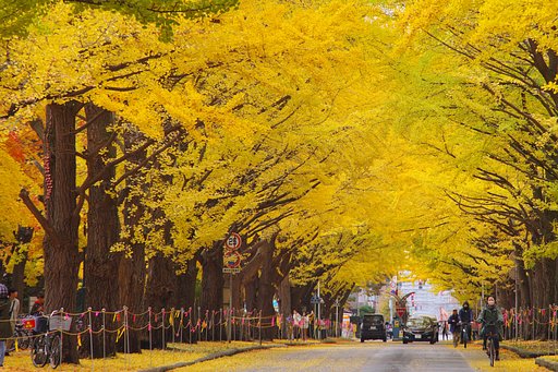 11月2日の写真