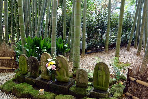 12月24日の写真