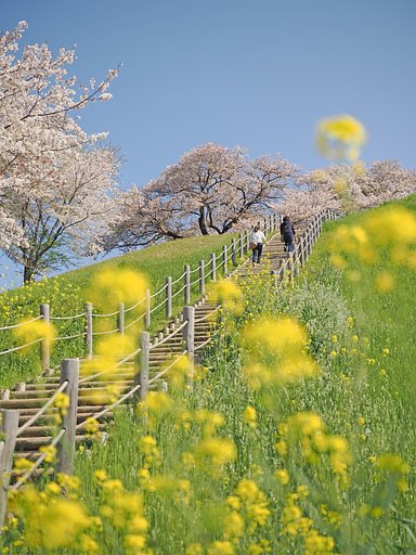 古に想いを馳せる