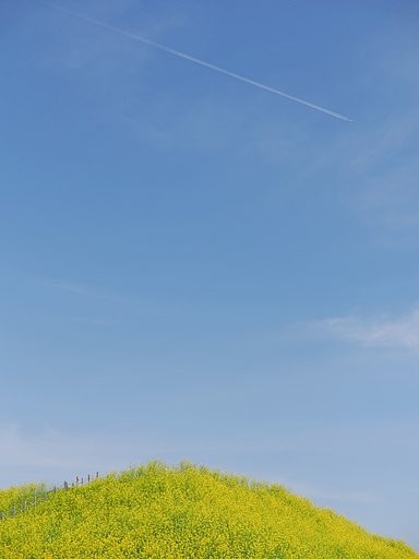 「さきたま」の春〜将軍塚古墳〜