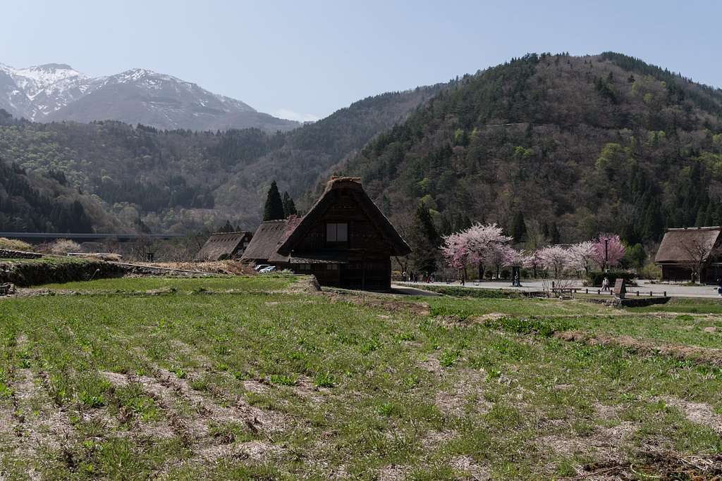 里山にも春の訪れⅡ