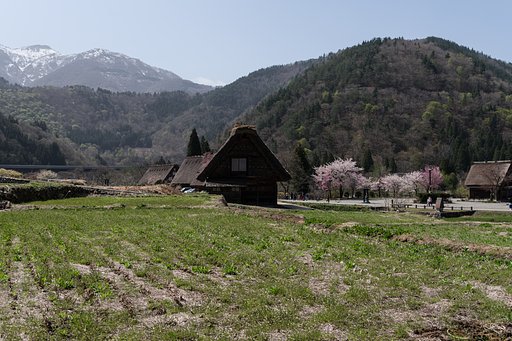里山にも春の訪れⅡ