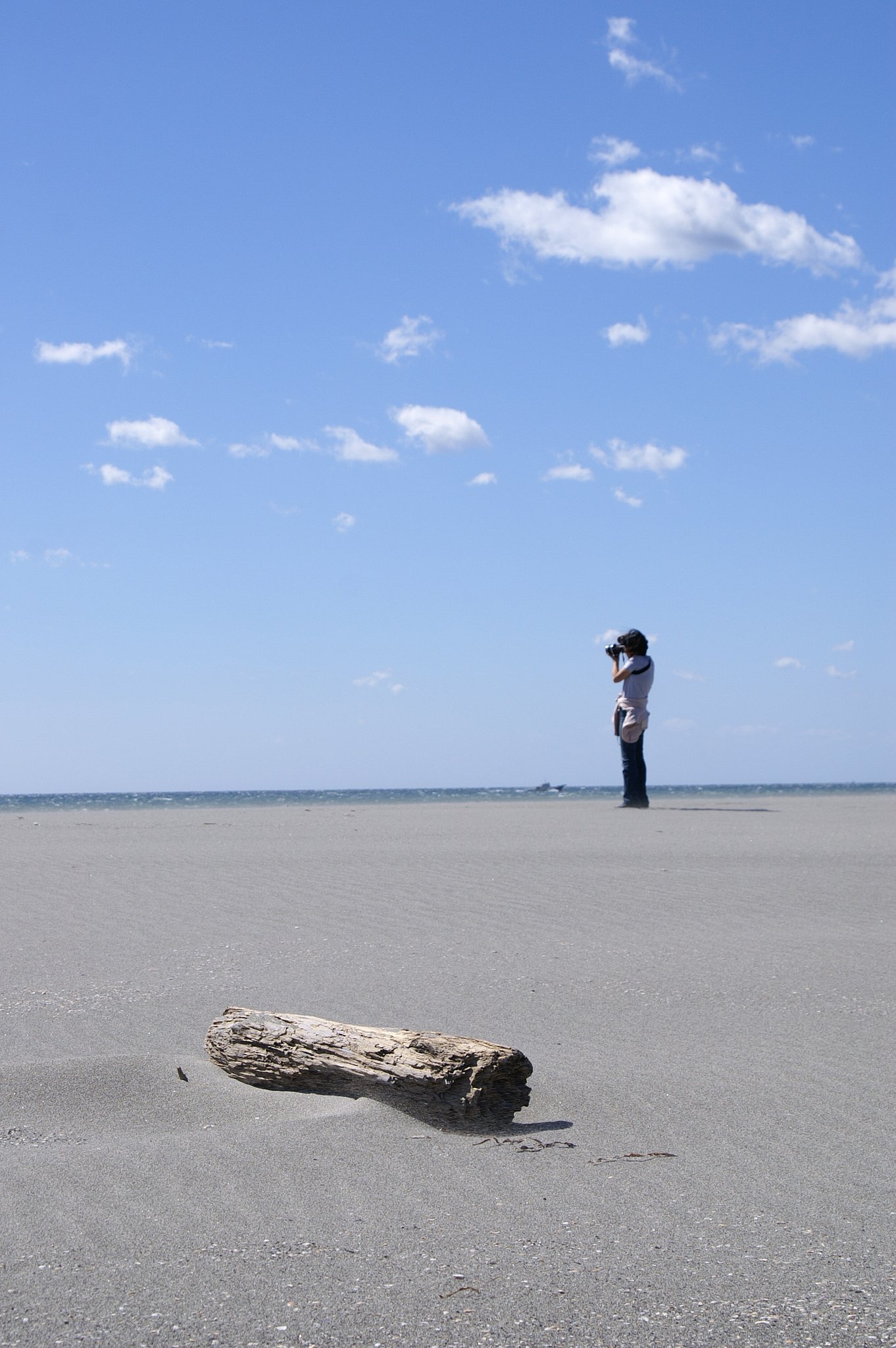 【５０】天晴れ　砂丘にて？