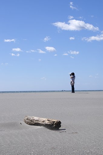 【５０】天晴れ　砂丘にて？