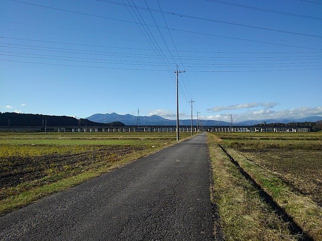 田舎の道路（11/11に撮影）
