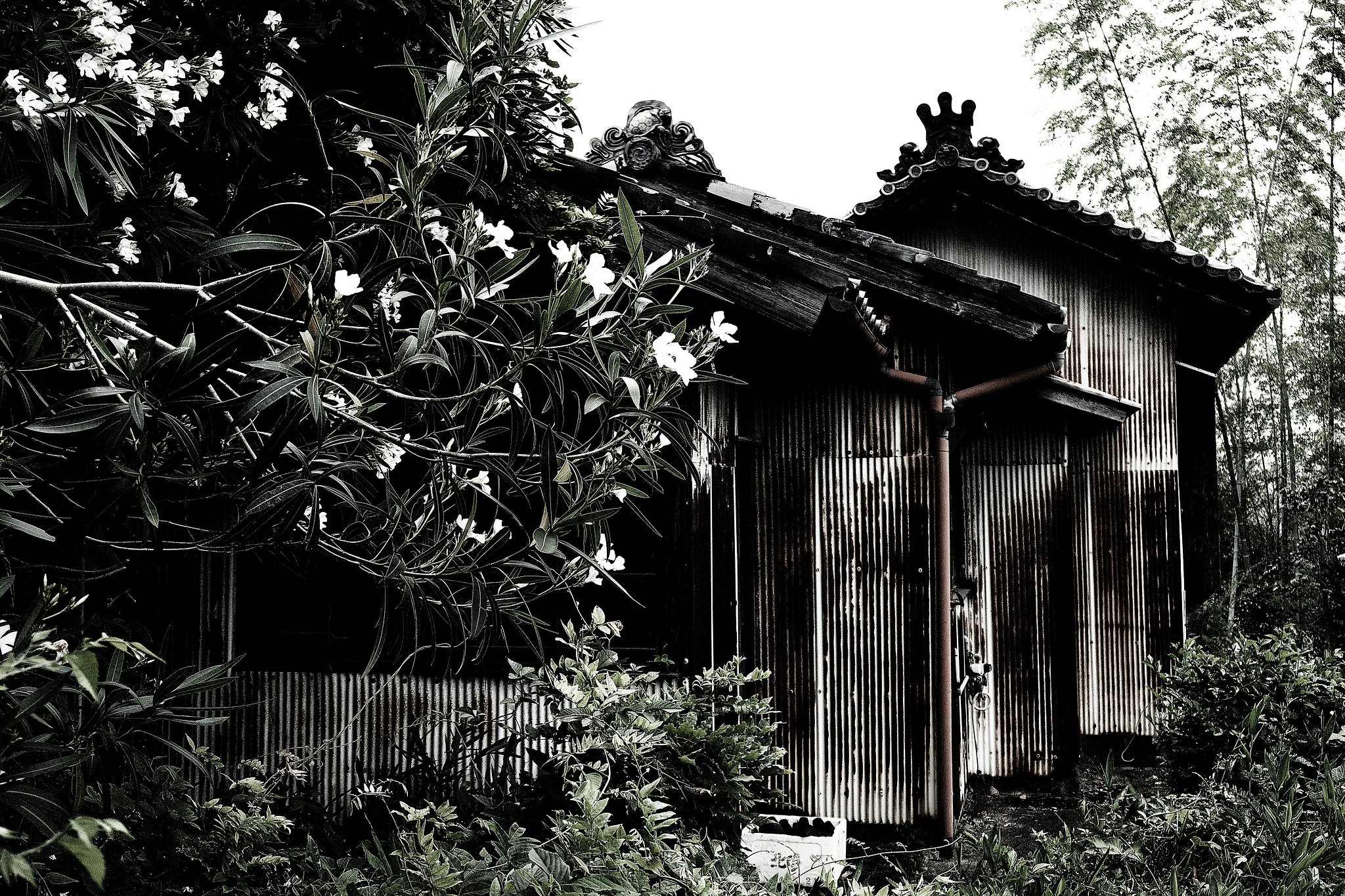 廃屋