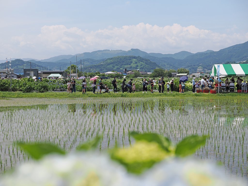 水と人が育む風景２