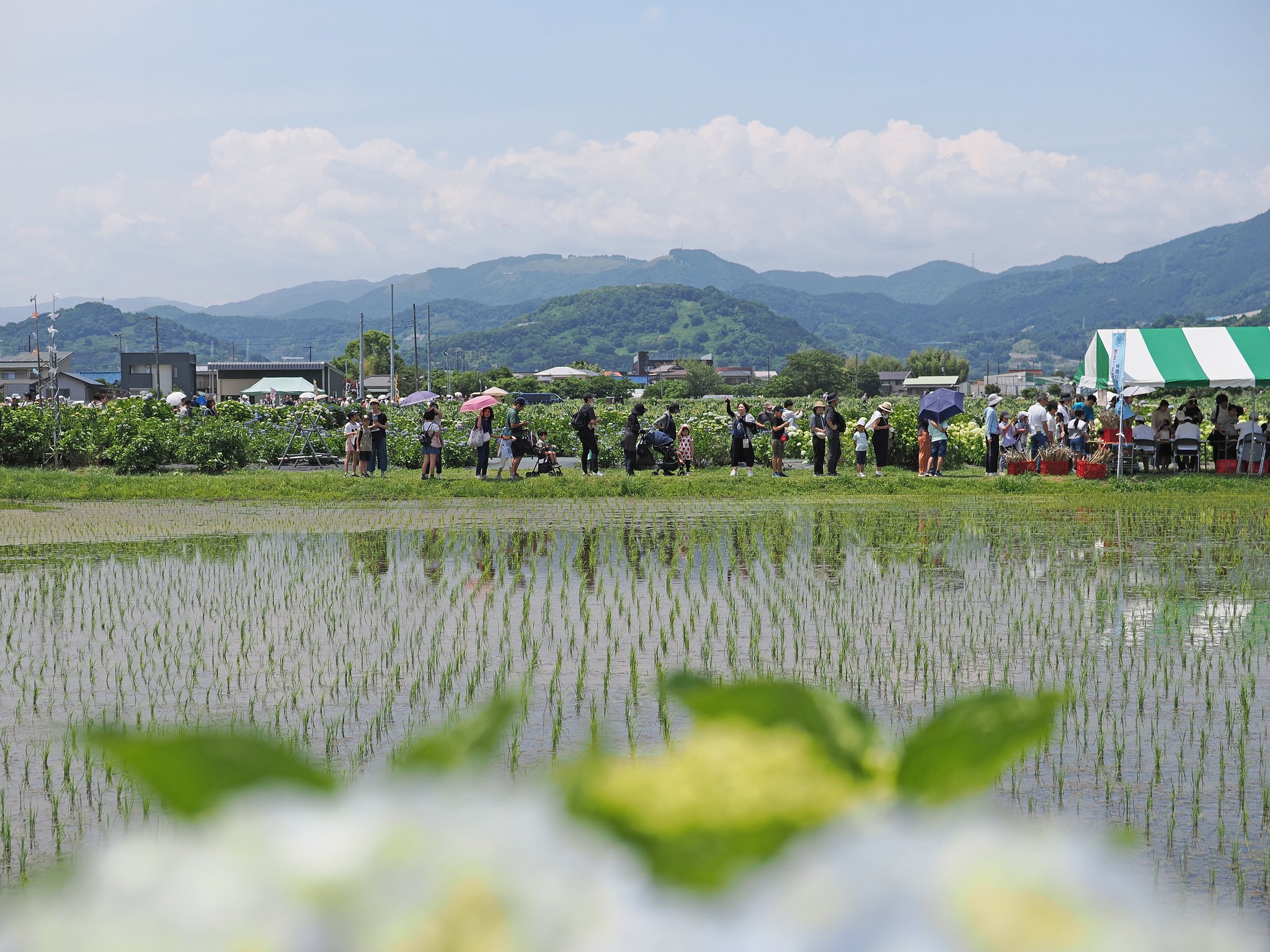 水と人が育む風景２