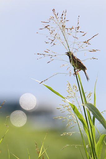 8月11日の写真