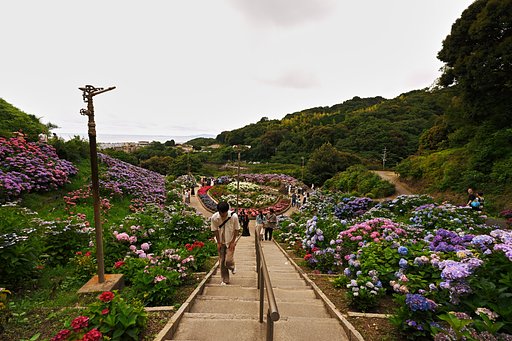 望海