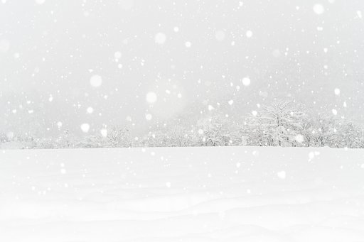 冬の妖精　降臨Ⅰ
