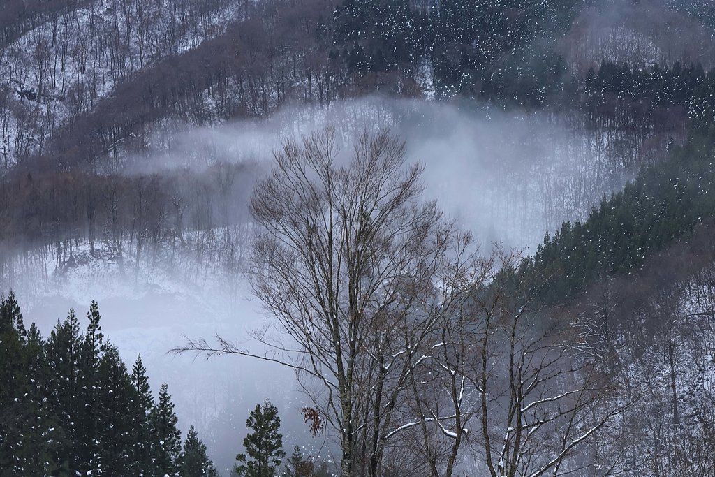 霧景