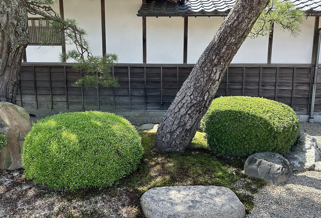 庭園