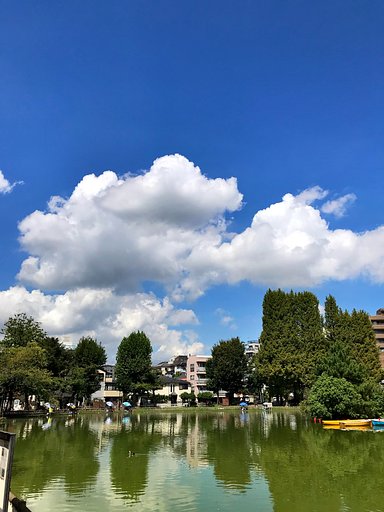空と雲