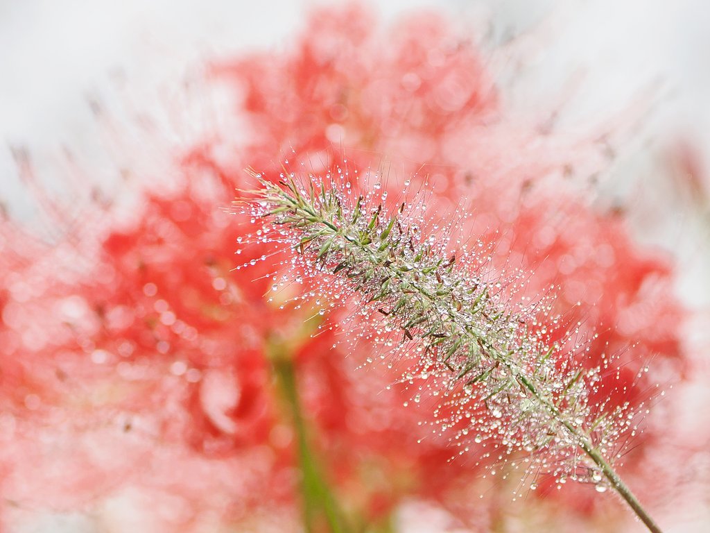 芸術の秋３