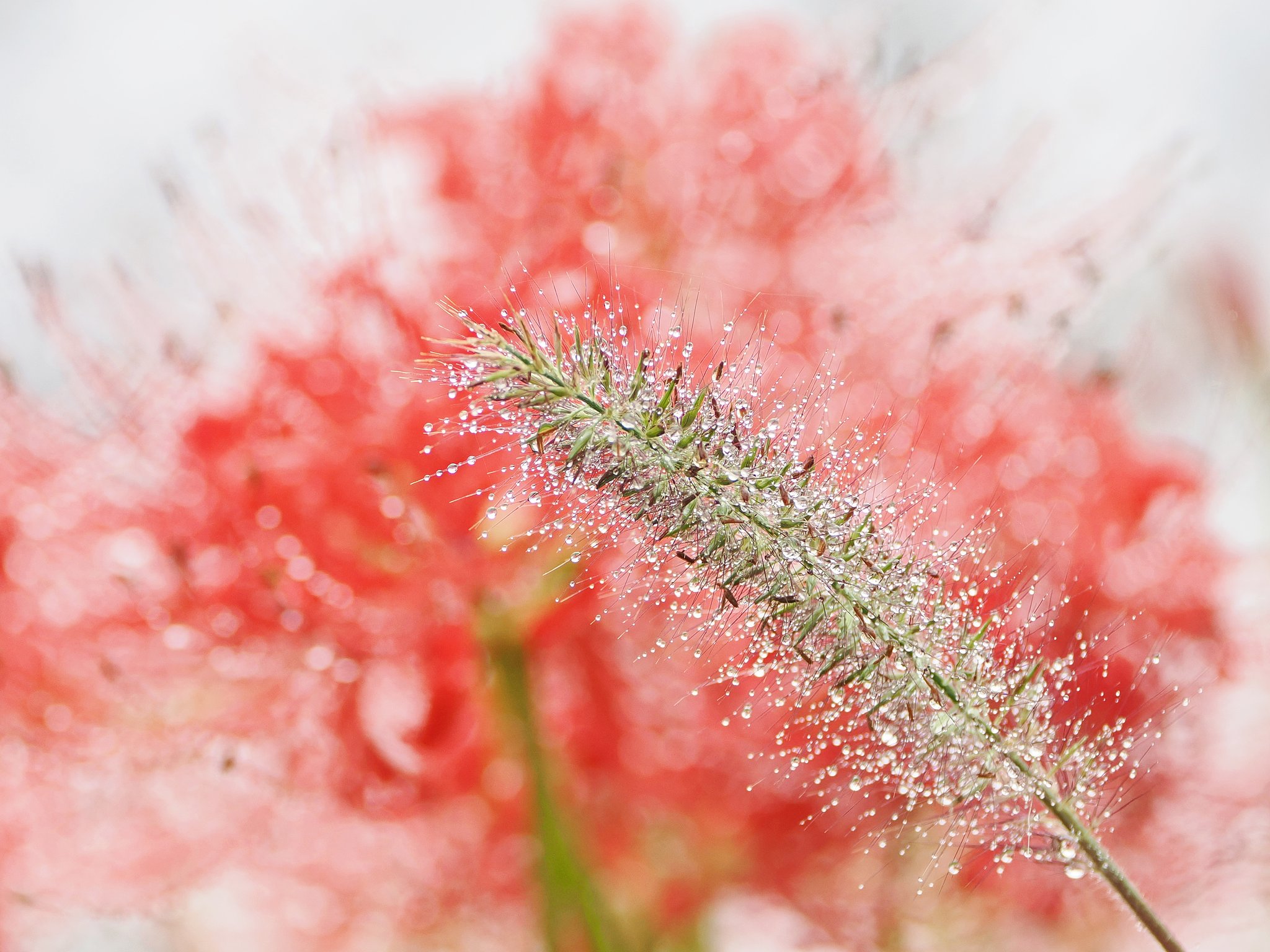 芸術の秋３