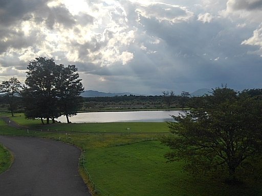 8月12日の写真