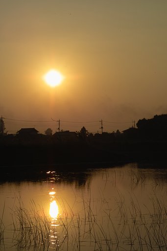 【50】あーきの夕日に