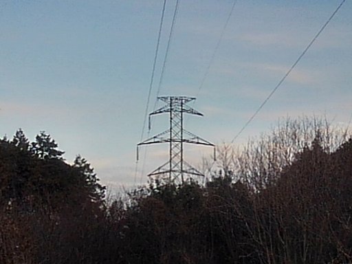 1月10日の写真