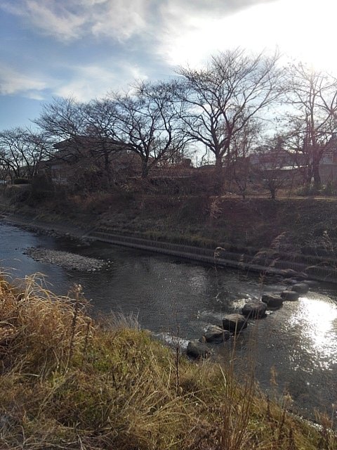 土手から見えた川の景色（1/14に撮影）