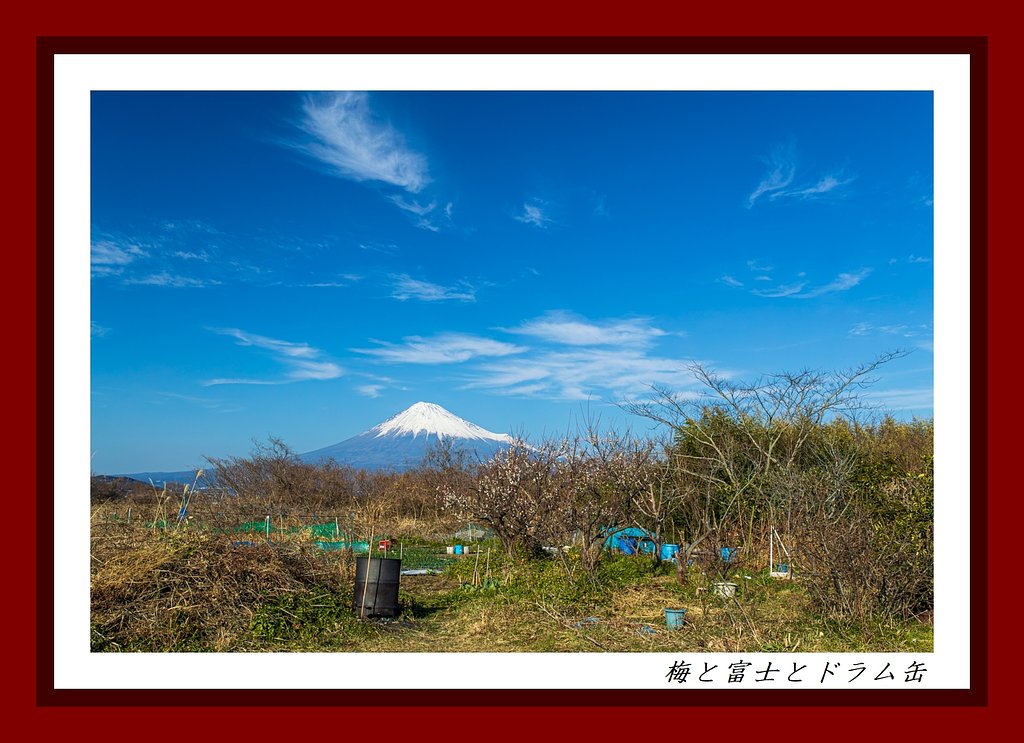 富士川河川敷にて