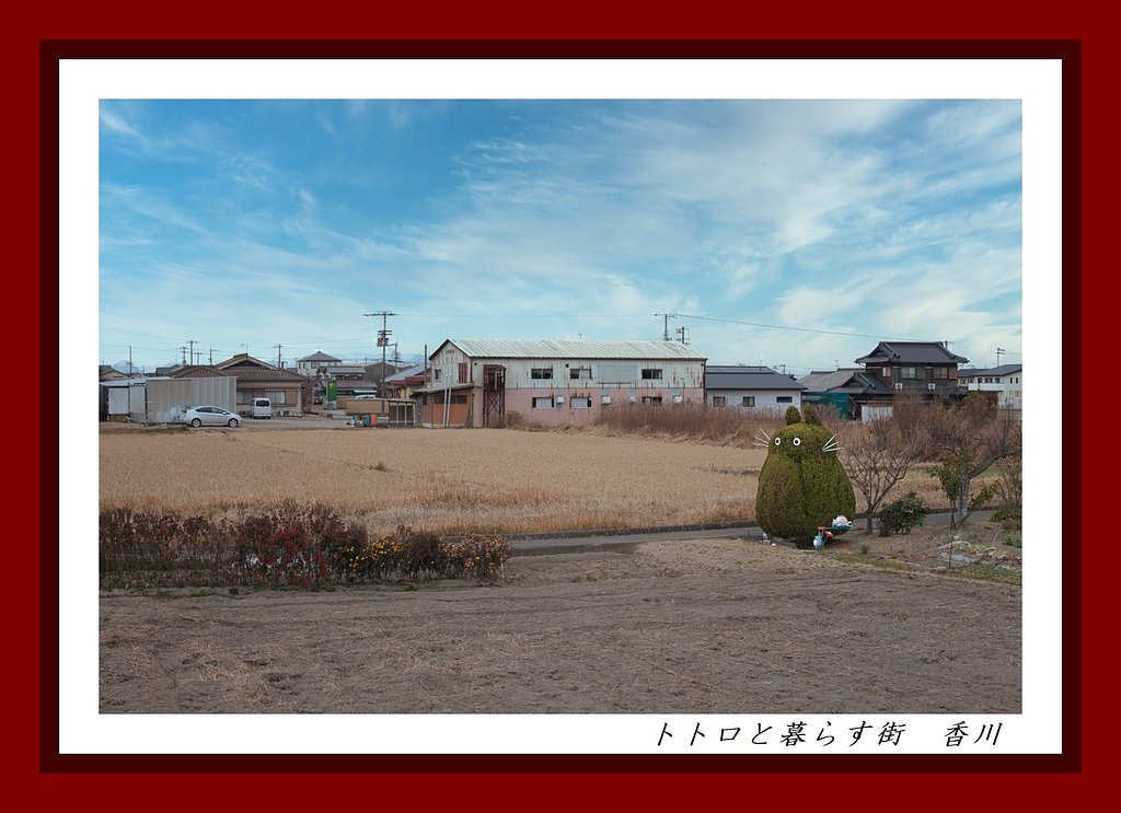 トトロと暮らす街