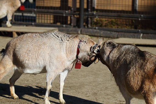 11月11日の写真