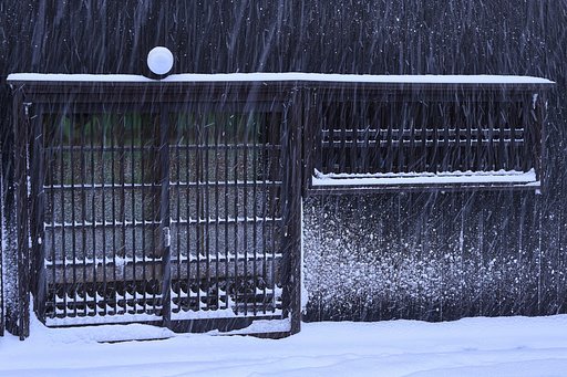 1月24日の写真