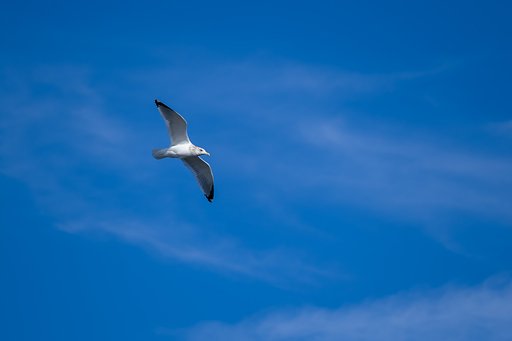 海ほたるから２
