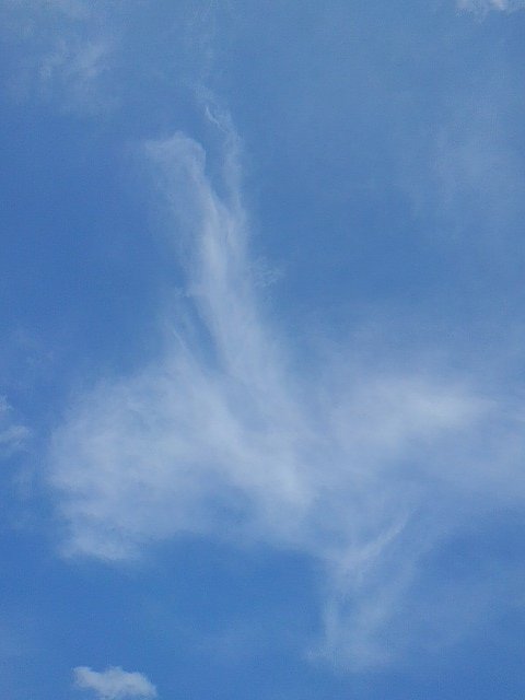 薄い雲（6/7に撮影）
