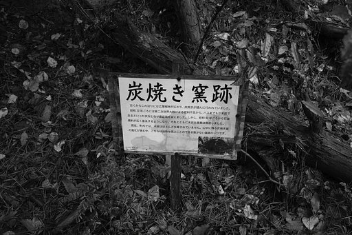 雑