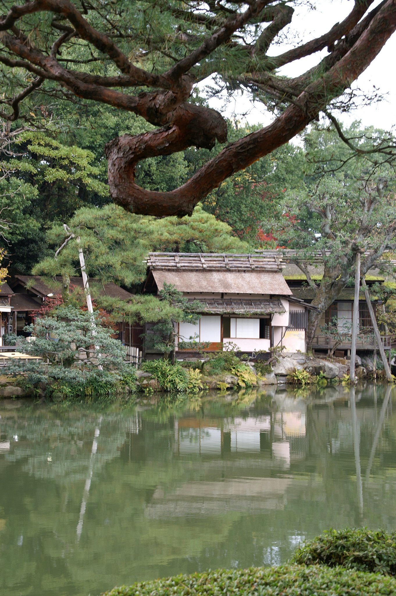 【木】兼六園から