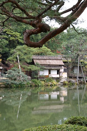 【木】兼六園から