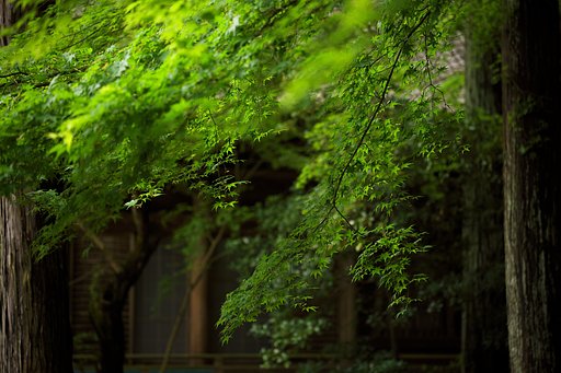 寺院