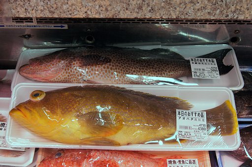 鮮魚店
