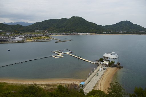 雑文