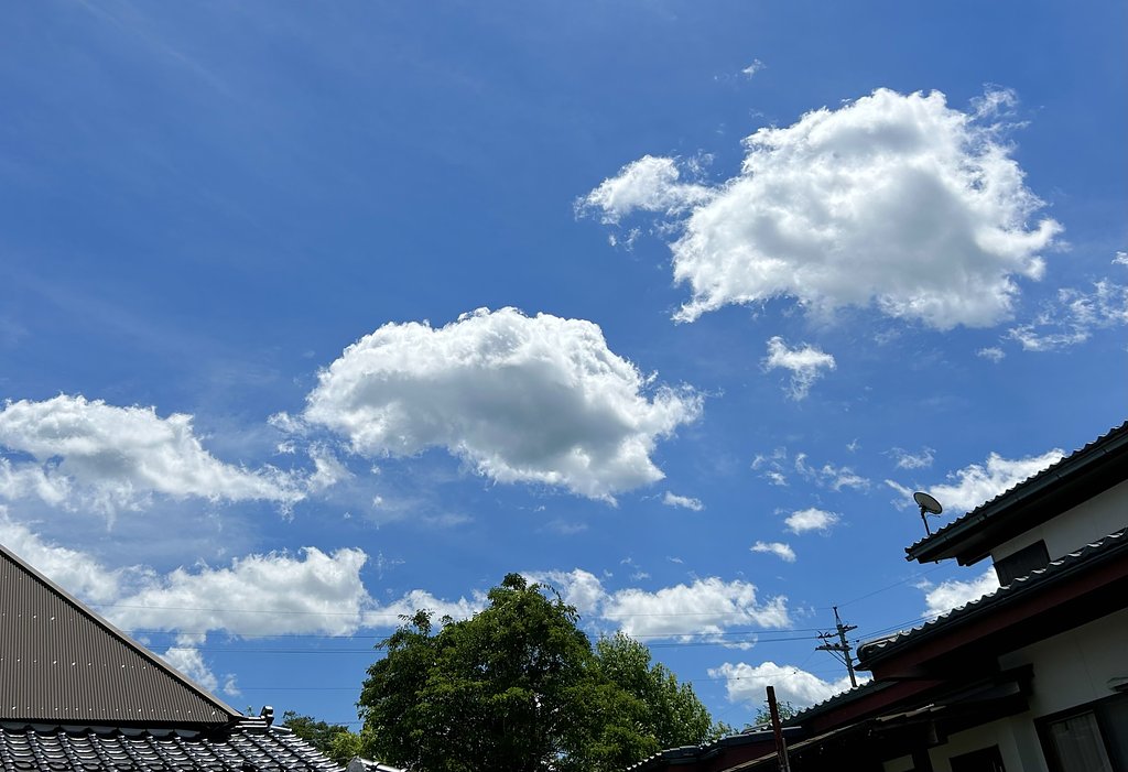 夏雲