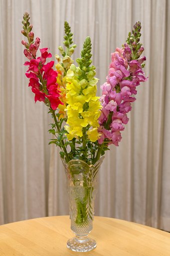 2月11日の写真