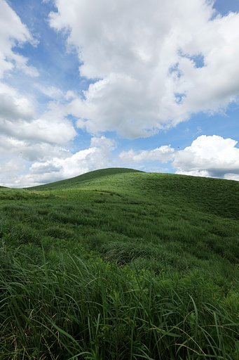 雲