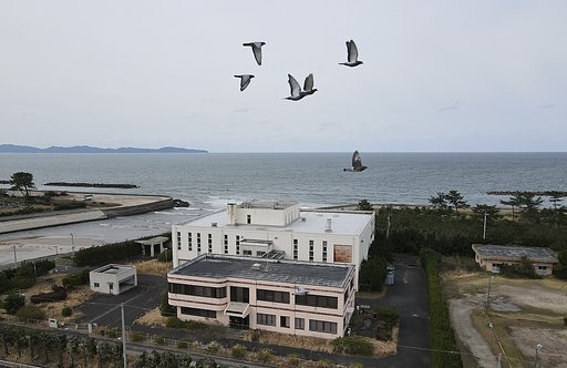 ハト
