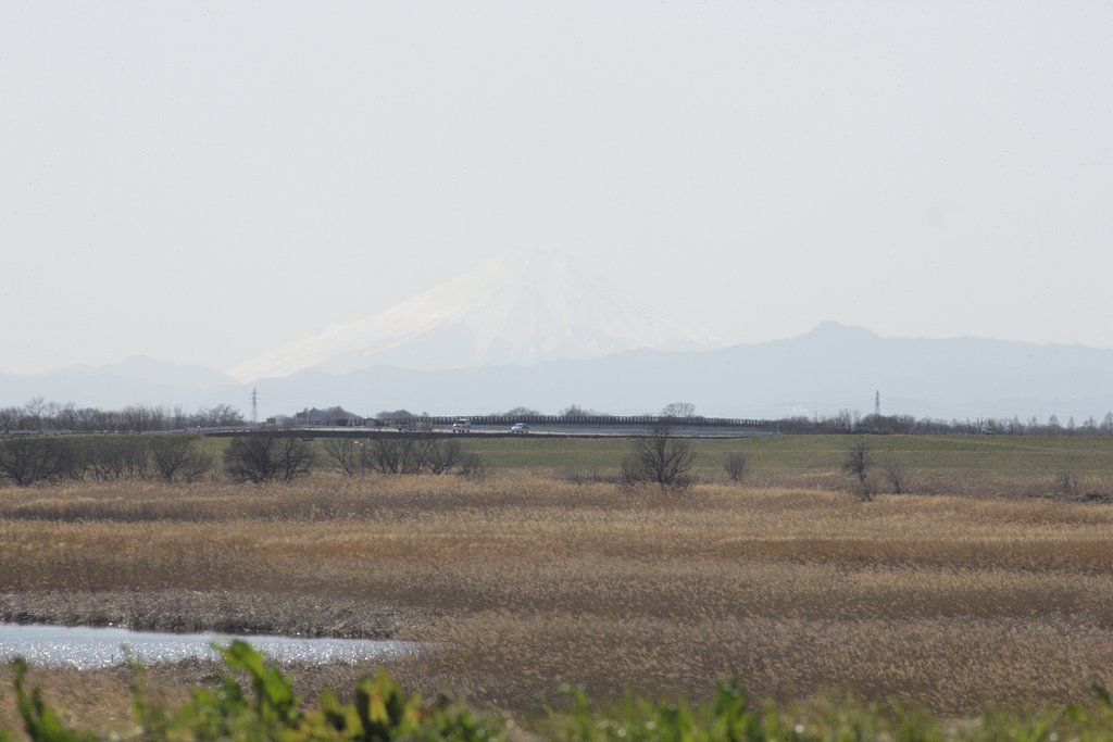 36°14'45.5"N 139°42'01.3"E