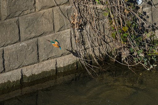 3月10日の写真