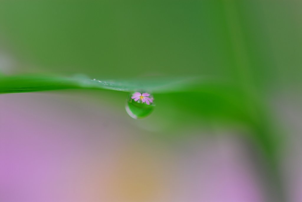 雨上がり