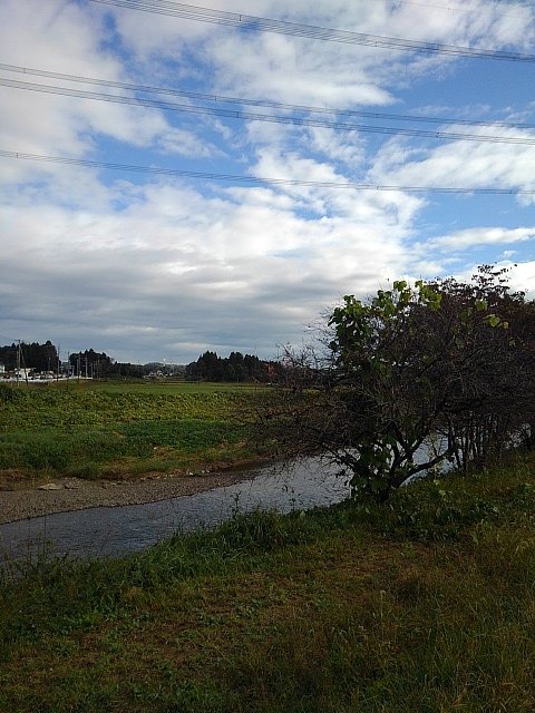 川の景色（10/16に撮影）