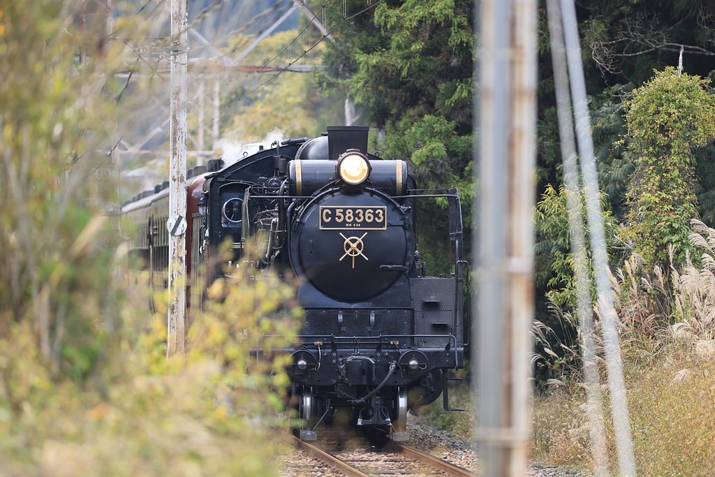 汽車に乗りました