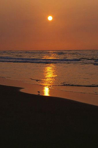 夕暮れのひとり歩き